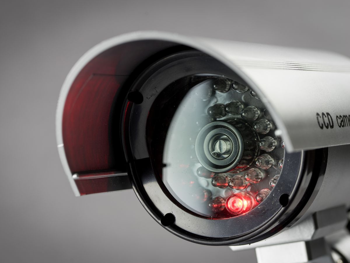 Electronic Security System